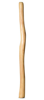 Medium Size Natural Finish Didgeridoo (TW1541)